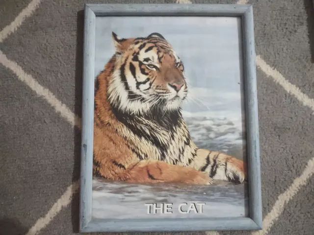 Quadro De Parede The Cat Tigre 30 X 22 Centímetros - Foto 2
