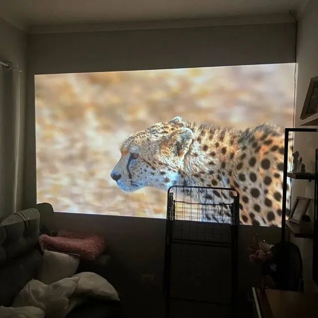 cinema em casa Projetor + tela de projeçao de  120 polegadas