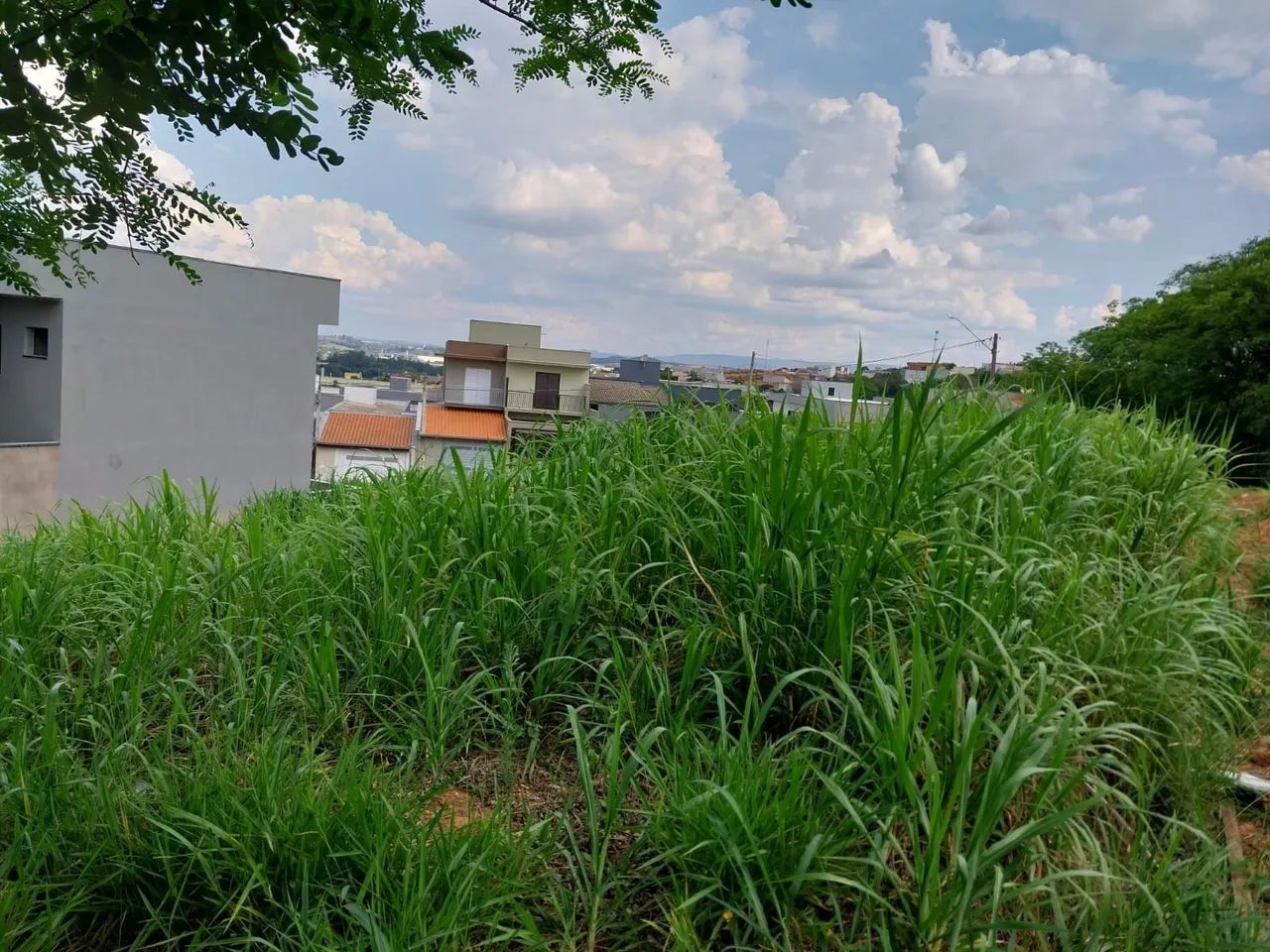 Terreno no Capela em Vinhedo - Foto 4