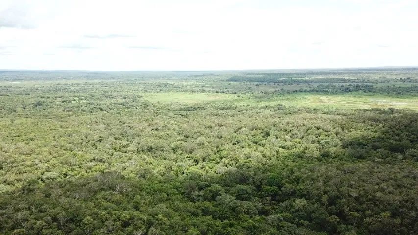 Vendo propriedade rural com 160 hectares - Curimatá/PI - Foto 2