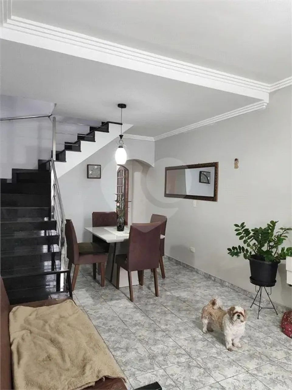 Casa com 4 quartos à venda em Jardim Leila - SP - Foto 5