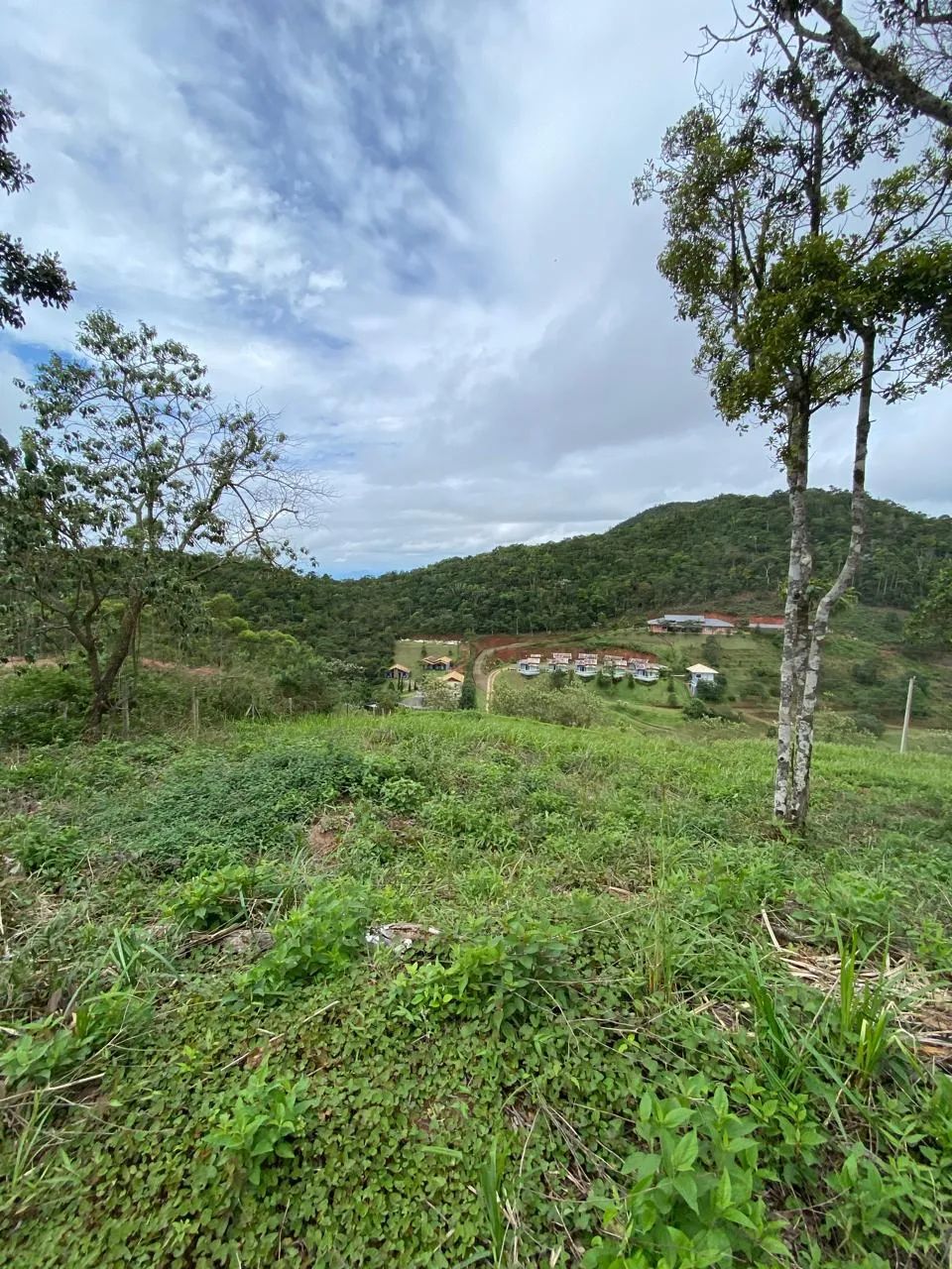 IMPERDÍVEL - TERRENO NO CARAVAGGIO EM SANTA TERESA - Foto 5