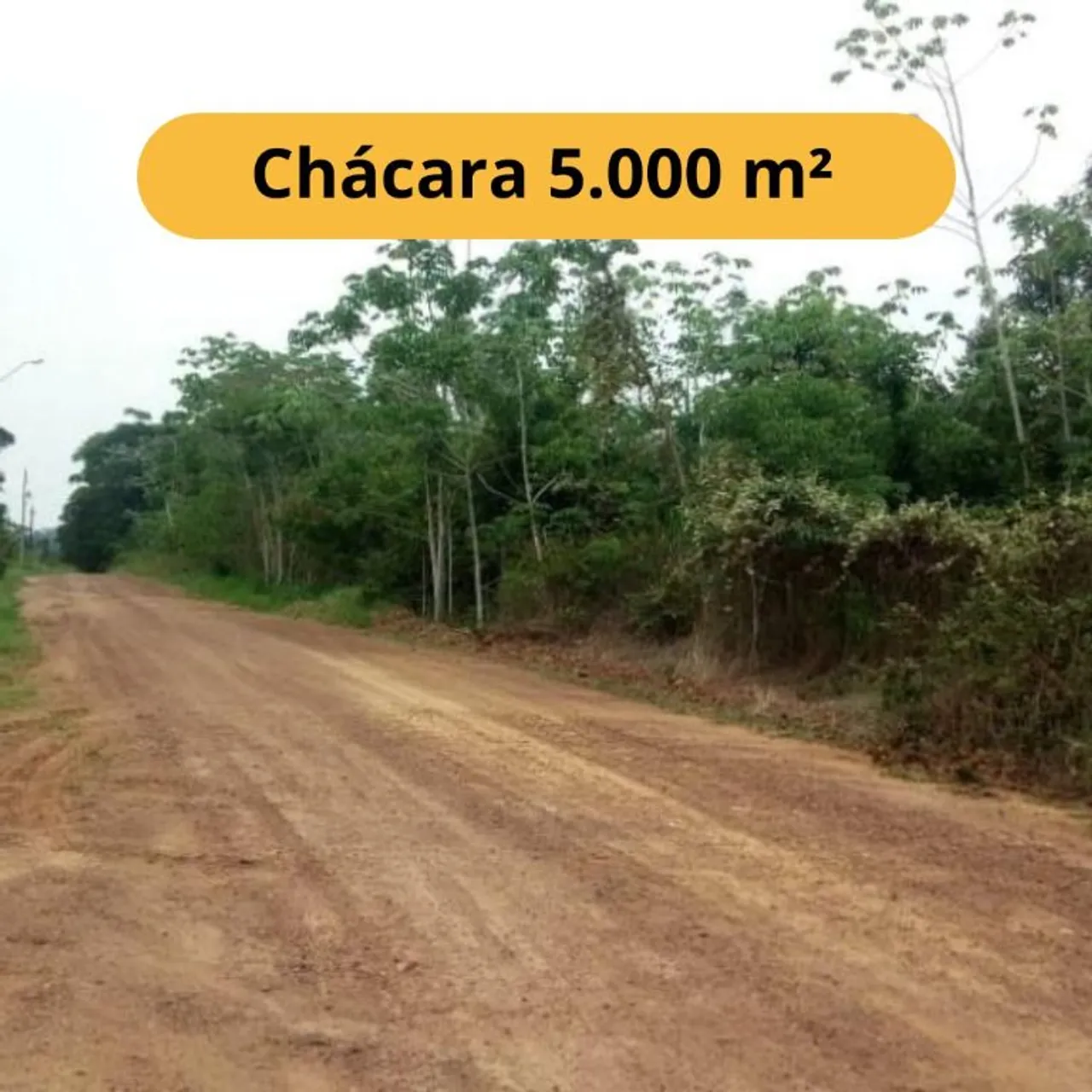 Chácara à venda, com 5.000 mil m² no município de Porto velho/RO