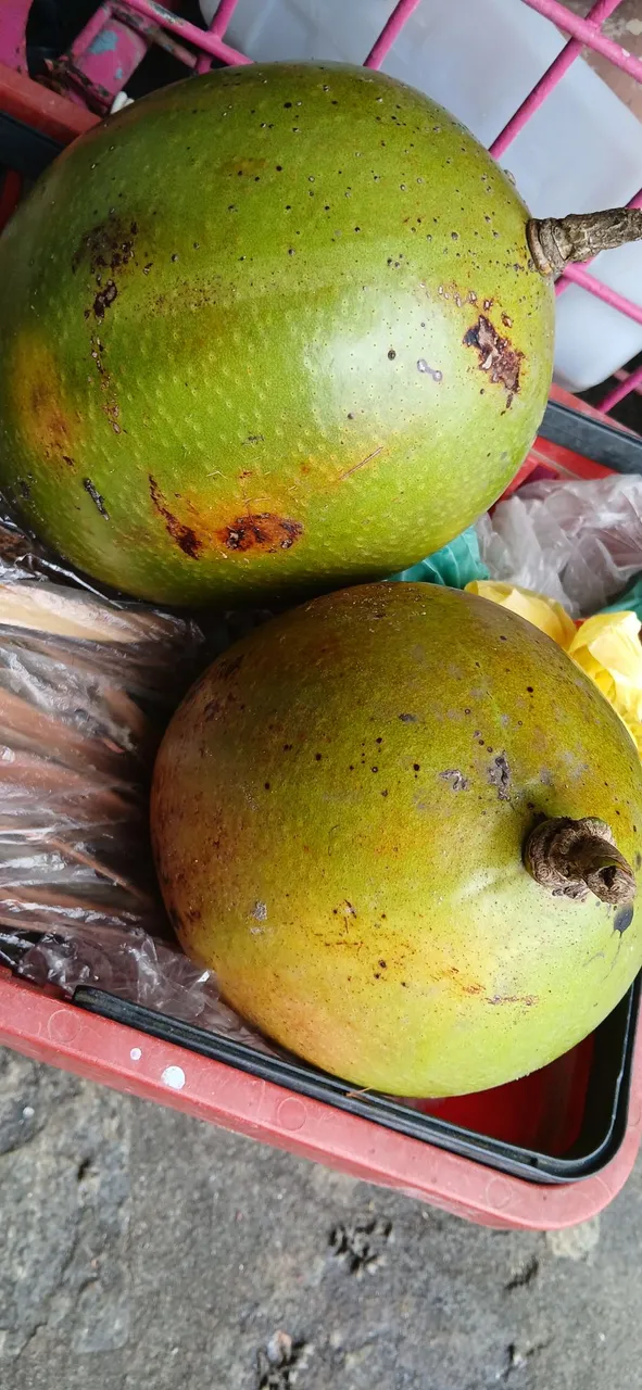 Fruto de coité