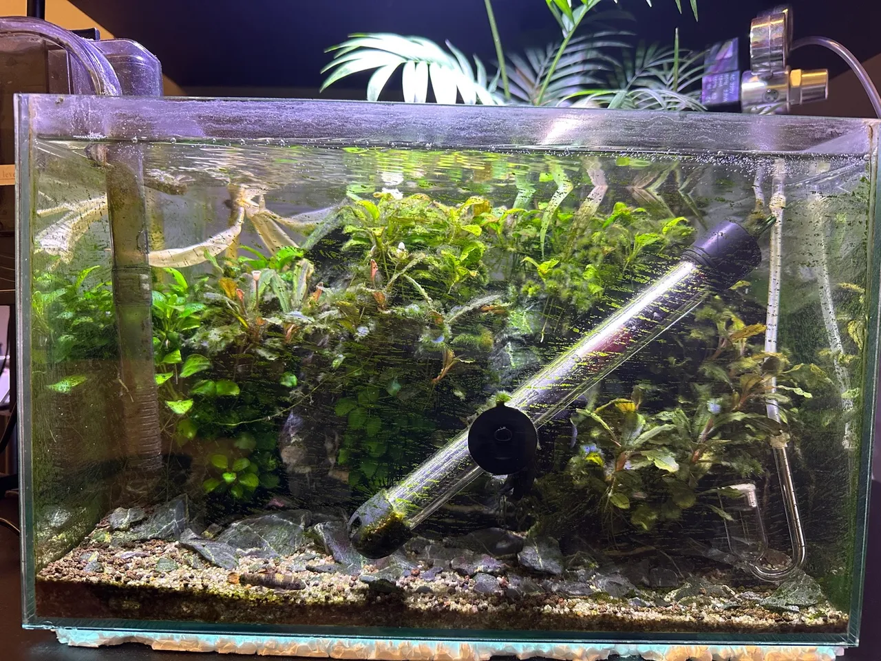 Aquario 35L plantado com filtro, luminaria e termostato e cilindro de co2