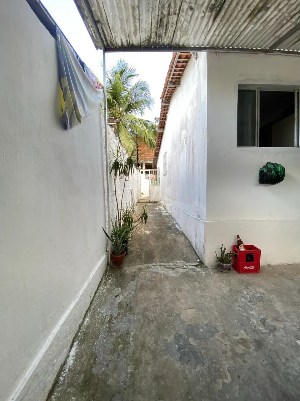Foto - Jaboatão dos Guararapes - Curado