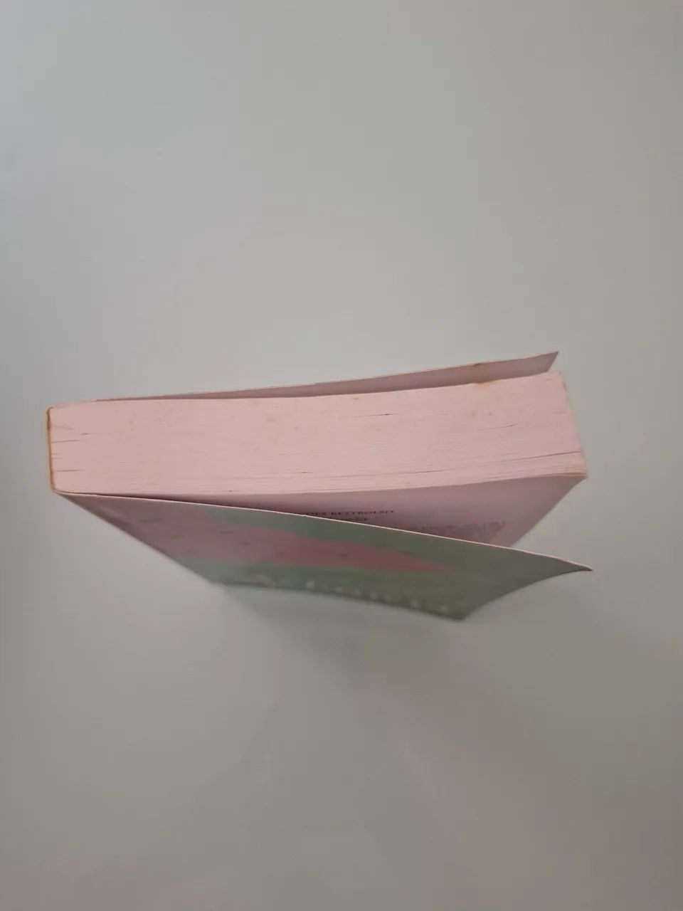 Livro Melancia  - Foto 3