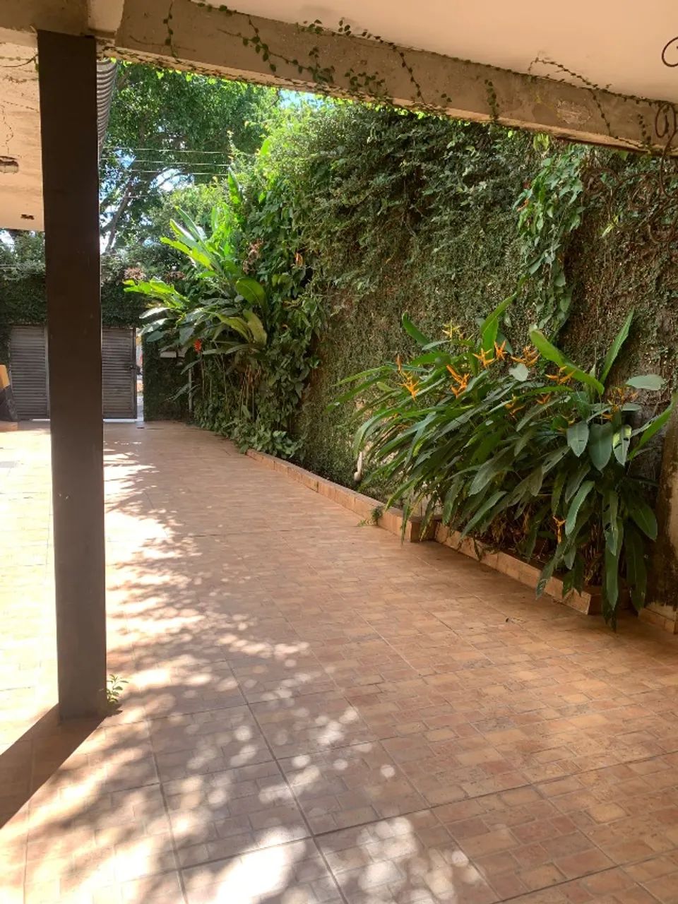 Foto - Goiânia - Jardim Goiás - Área I