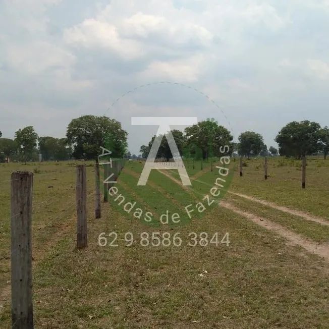 Fazenda de 1.590 hec em Serra Nova Dourada MT