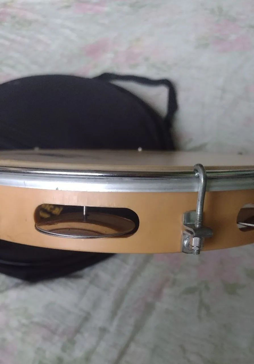Pandeiro de 10 polegadas TP 300 Torelli com case - Foto 2