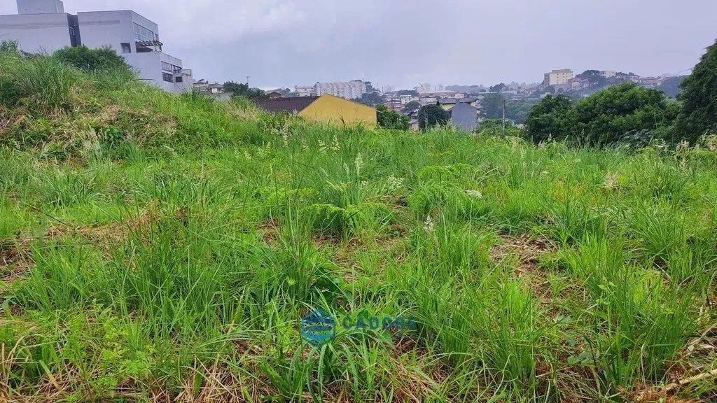 Terreno no Cristo Redentor - Foto 5
