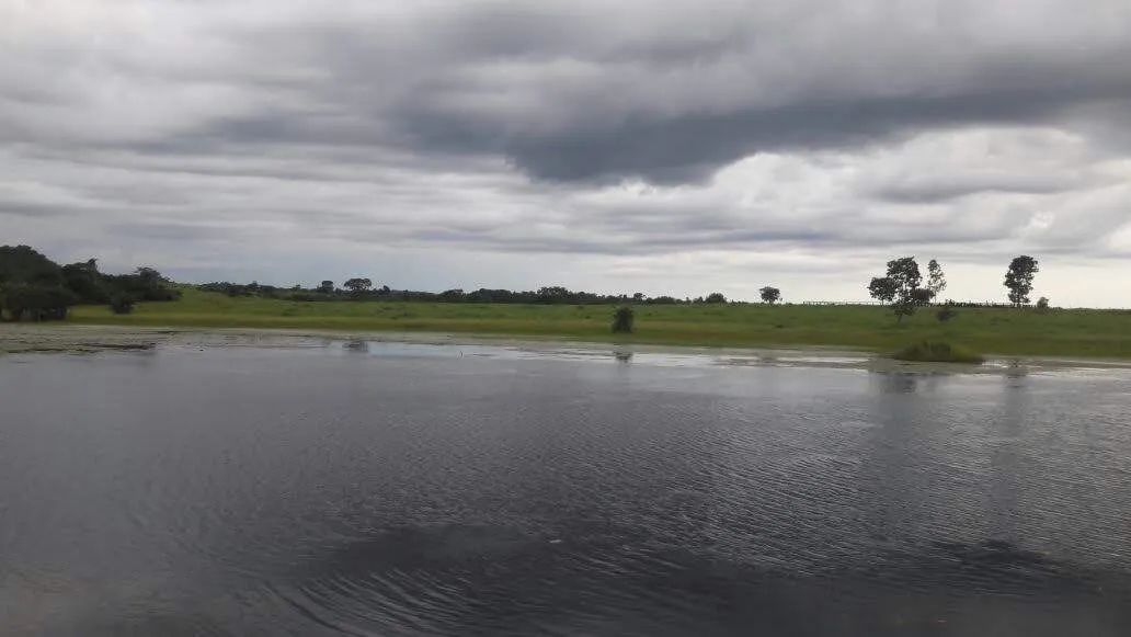 ARRENDA SE PASTO  - Foto 3