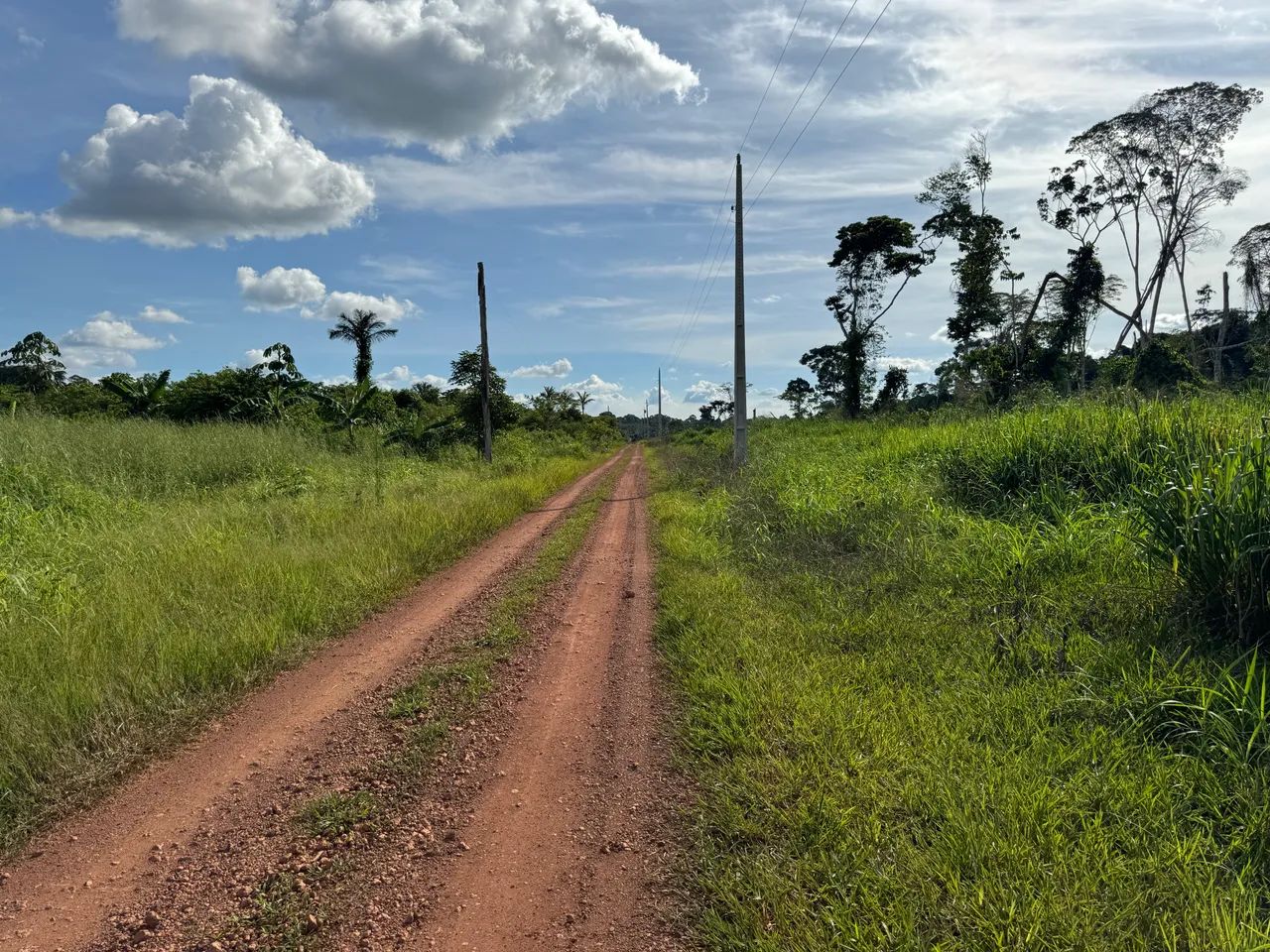 Foto - Porto Velho - Cascalheira