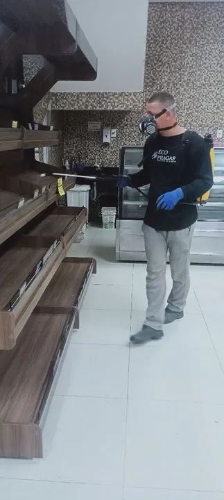 Serviço profissional de dedetização  - Foto 2