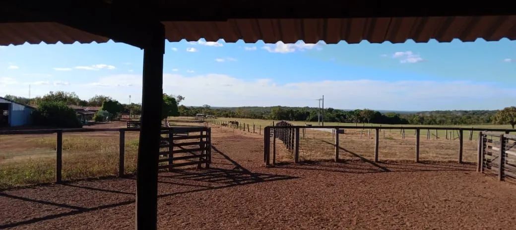 Fazenda  554 hectare.. estuda pega imóvel . - Foto 3