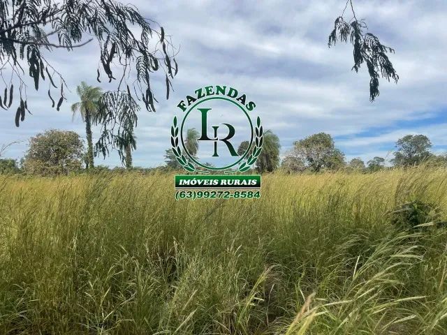 Fazenda de 40 Alqueires próximo a Palmas TO - Foto 3