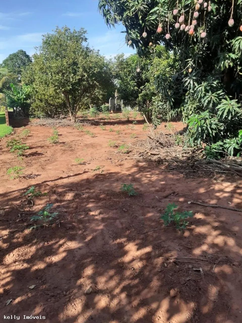Chácara para Venda em Pirapozinho / SP no bairro Portal Do Paranapanema - Foto 12