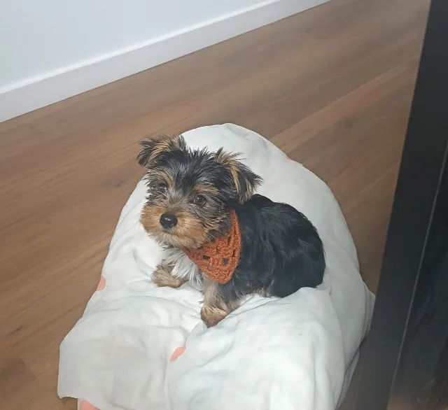 Miniaturas personalizadas em impressão 3D  - Foto 4