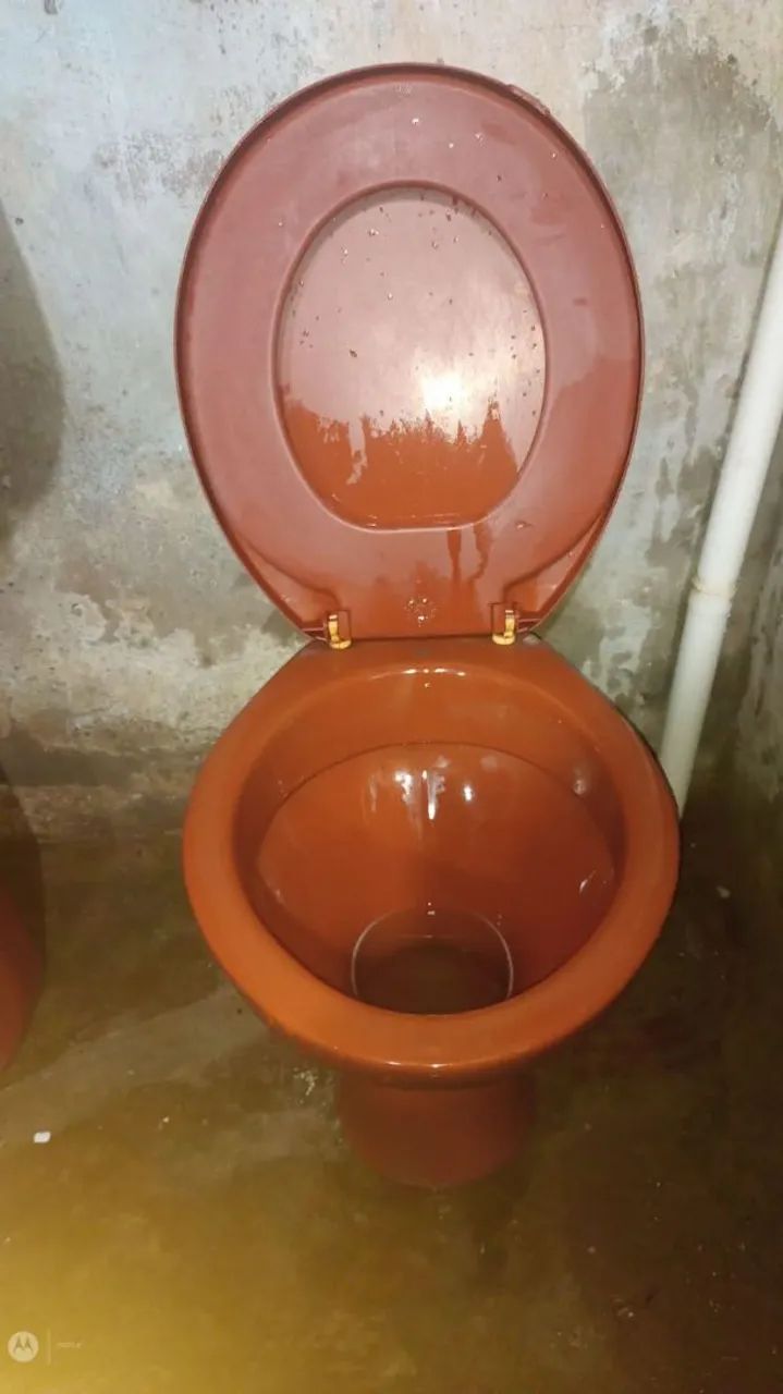 Vaso sanitário convessional 