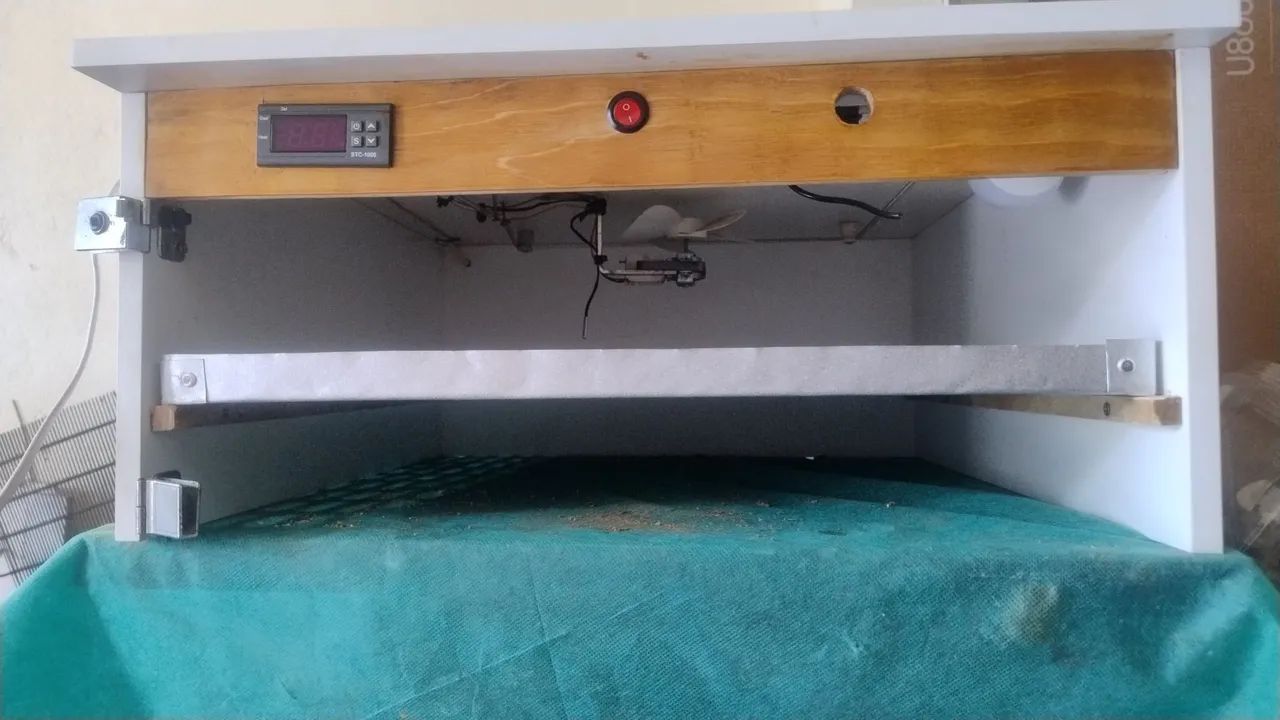 Chocadeira automática com viragem de ovos e ovoscopia  - Foto 5