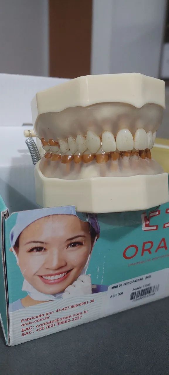 Manequim Periodontia