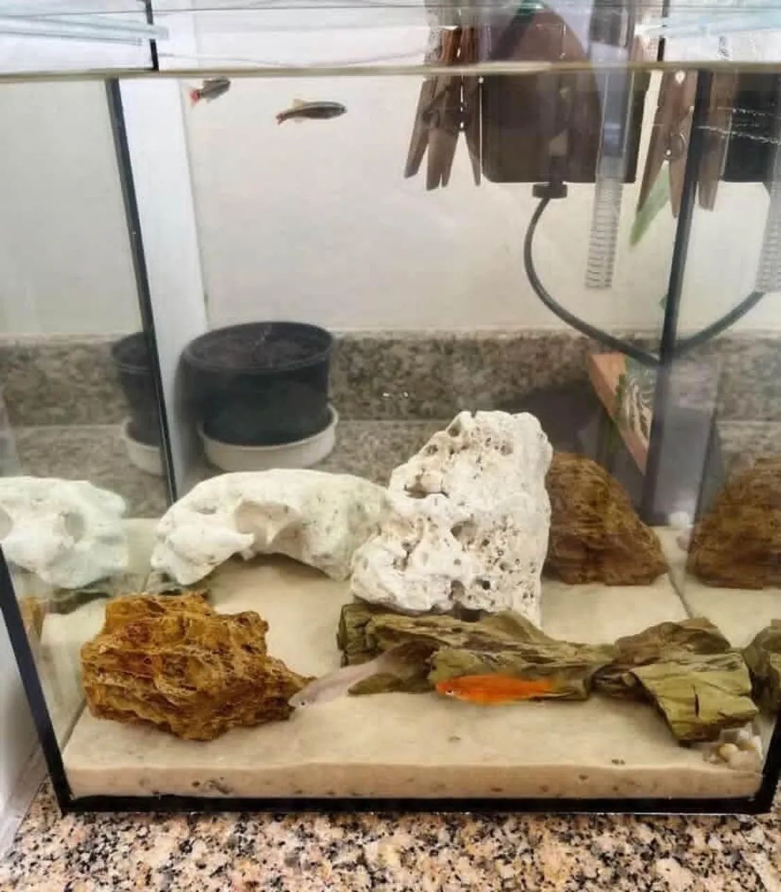 Aquário em perfeito estado  - Foto 2