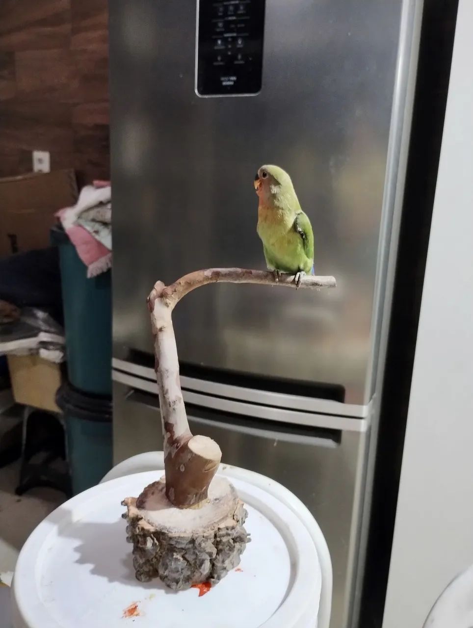 Um lindo presente para quem vc ama - Foto 6