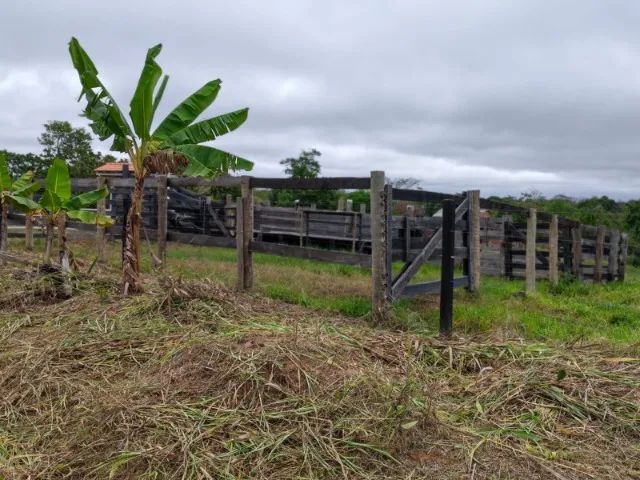Vende-se terra  - Foto 3
