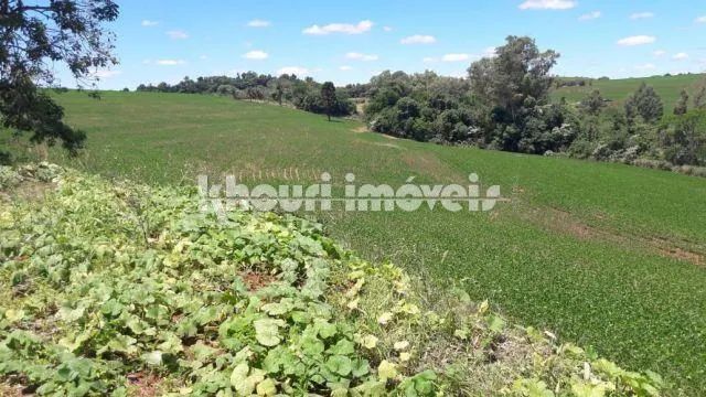 Sítio à venda em Sarandi, NÃO INFORMADO, com 5 quartos, com 5 alqueires - Foto 2