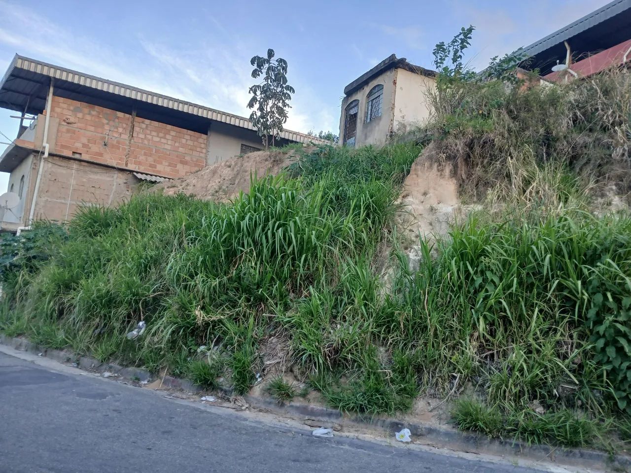 Lote/imóvel Pindorama  - Foto 2