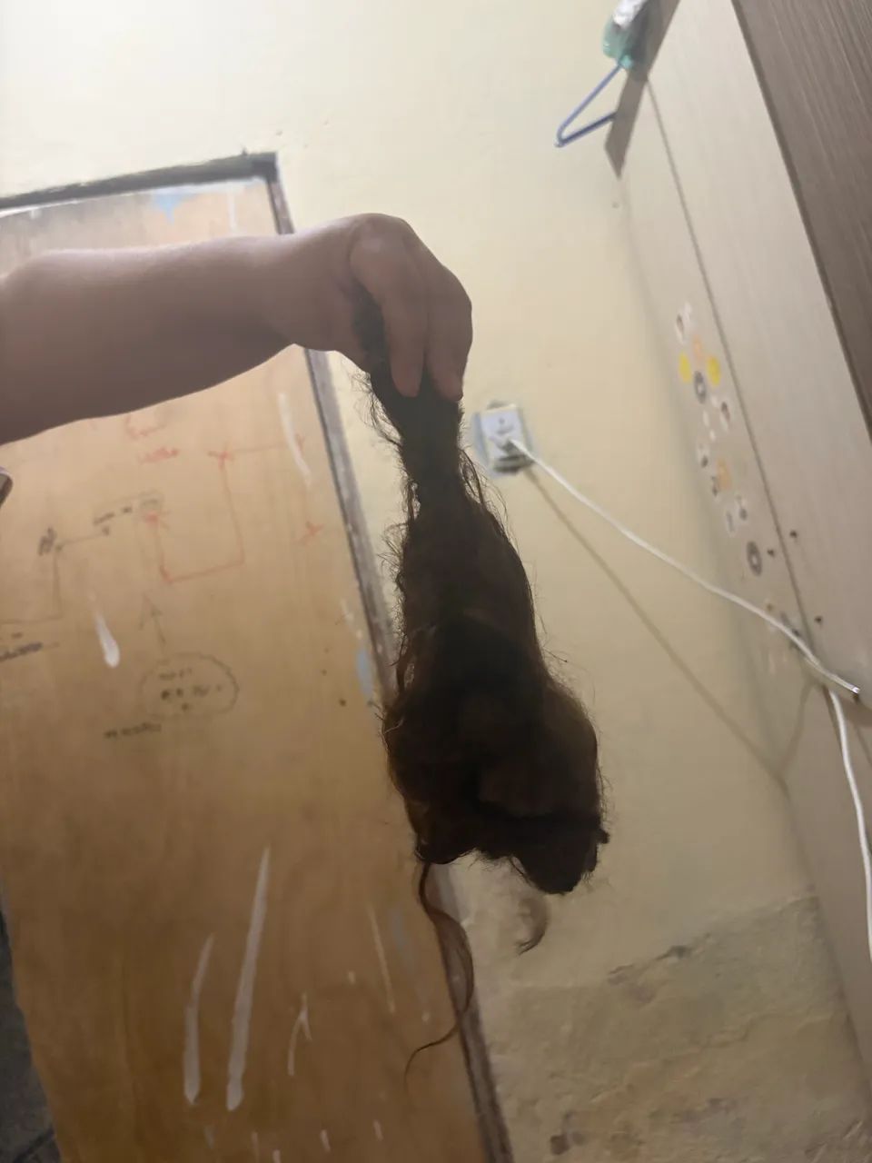 Cabelo brasileiro 