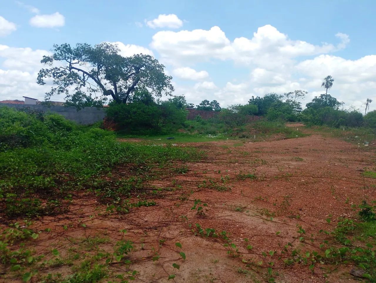 Terreno tamanho 1700m2 - Foto 2