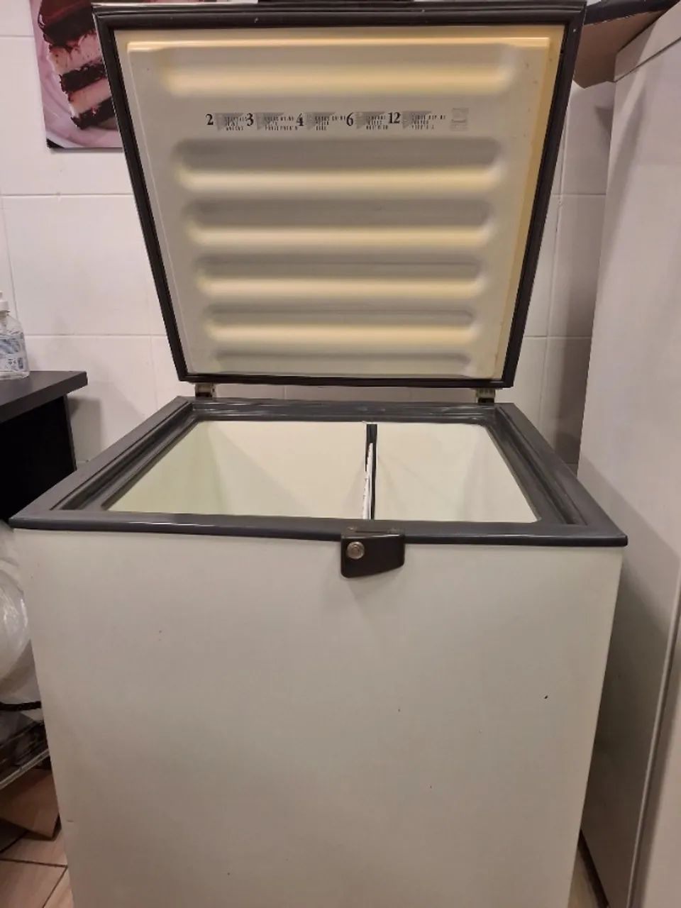 Freezer horizontal 