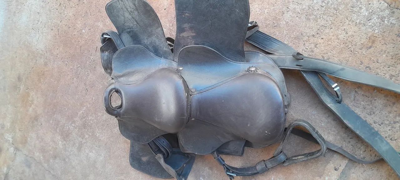 Sela dupla de cavalo