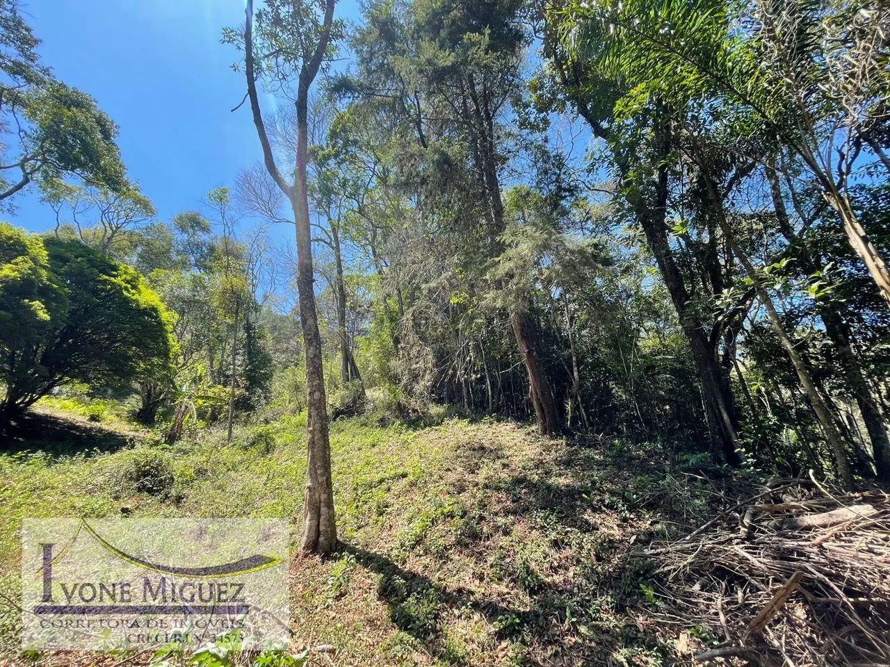 Terreno em Palmares - Paty do Alferes - Foto 2