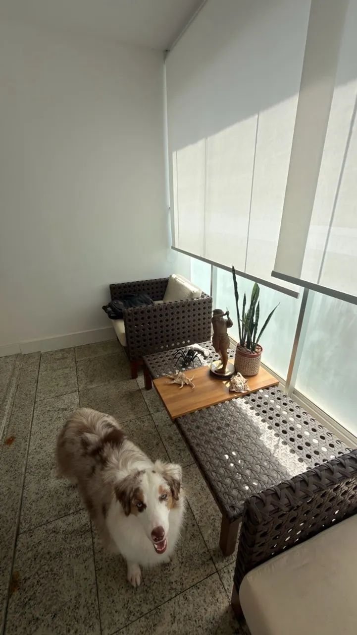 Conjunto Sacccaro 2 poltronas e 1 mesa  - Foto 5