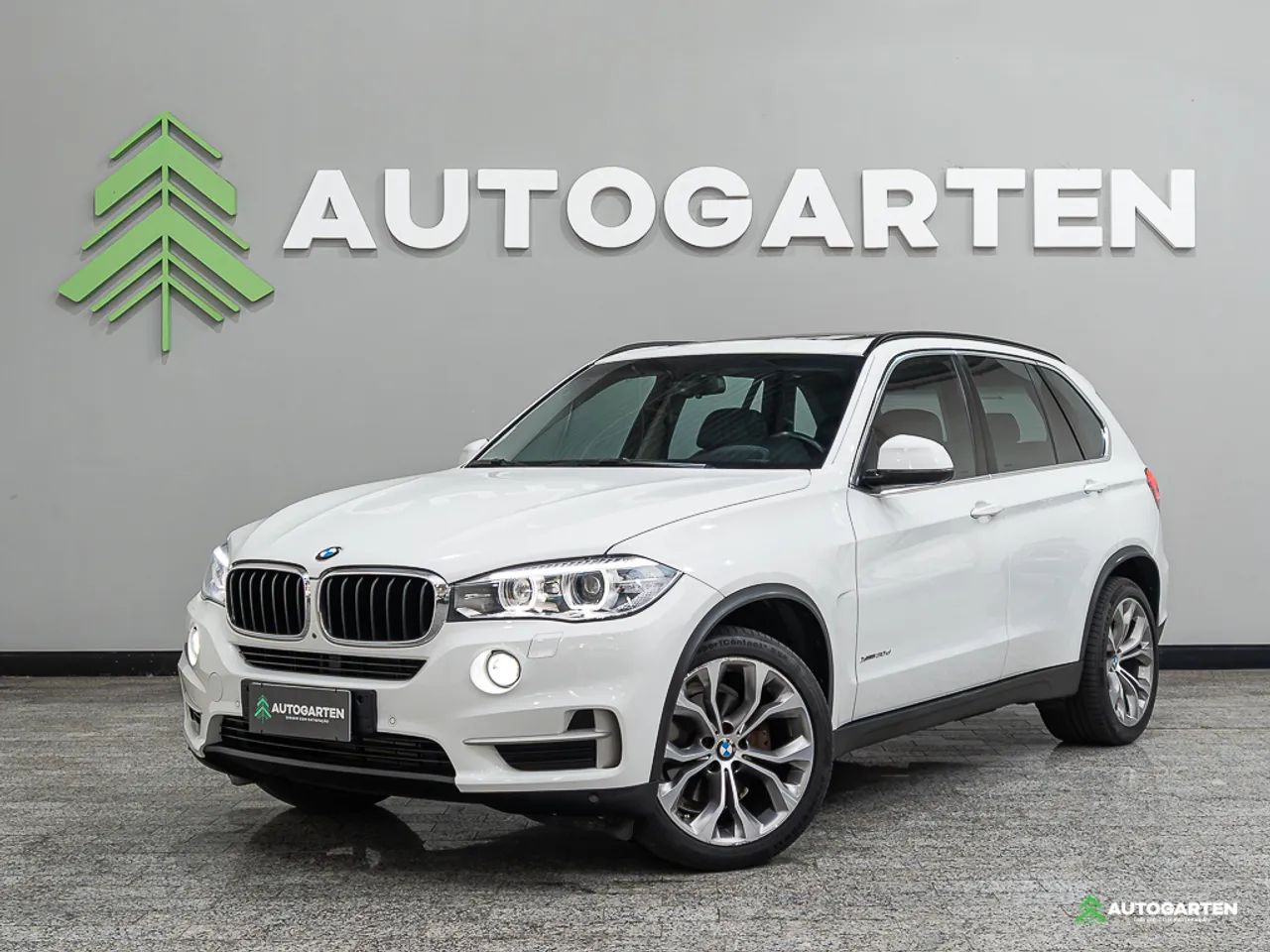 BMW X5 Xdrive 30D Full 3.0 258cv Diesel 2017