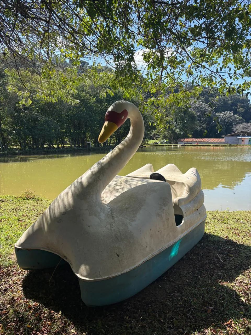 Pedalinho de Cisnei - Foto 5