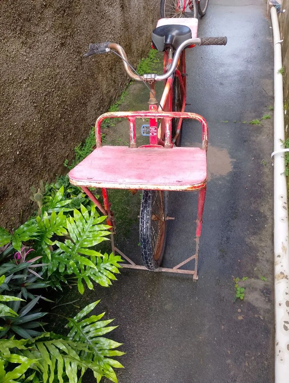 Vendo bike cargueira  - Foto 2