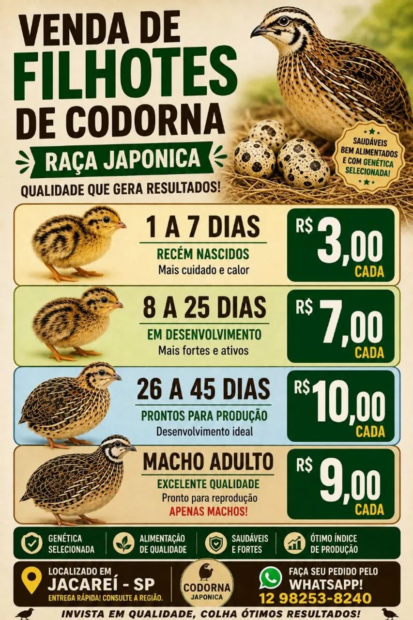 Codorna japônica 