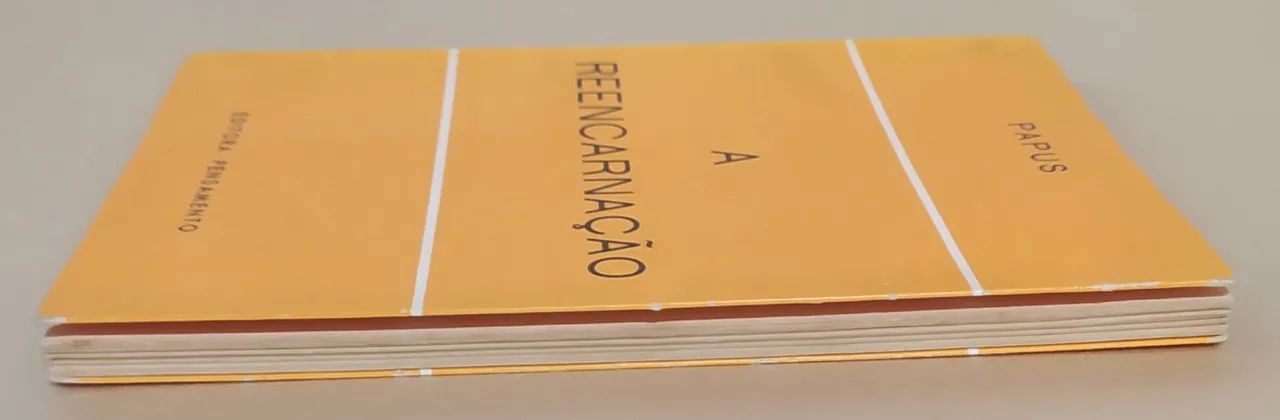 A Reencarnação - Papus - Foto 3