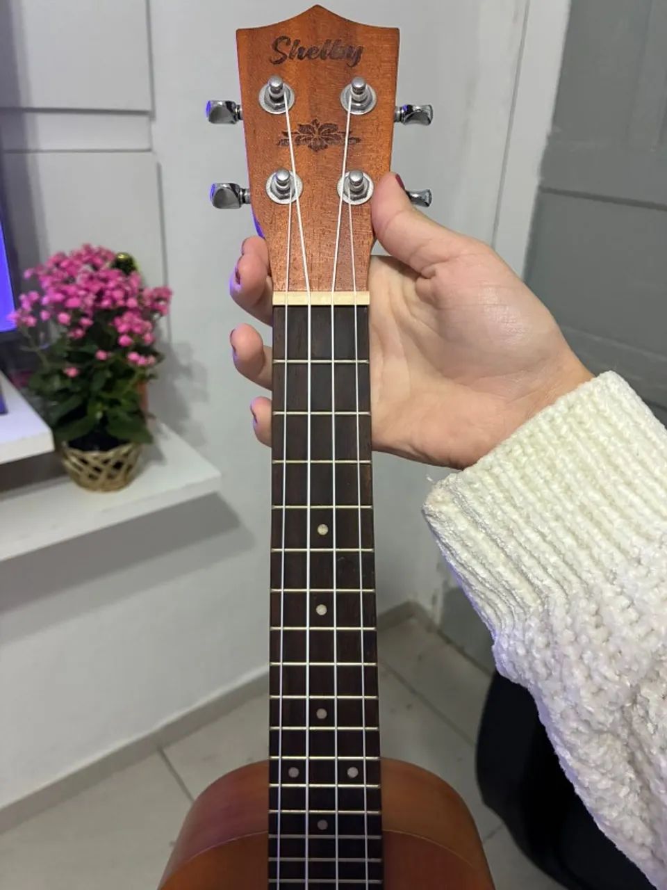 Ukulele Concert Shelby - Foto 5