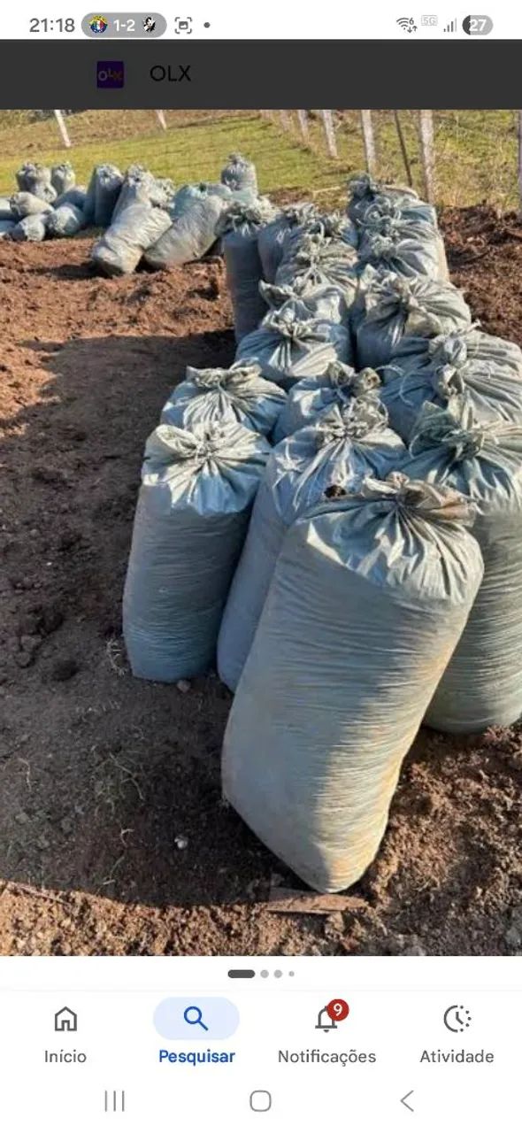 Vendo Adubo Orgânico de Carneiro/Bode - Foto 4