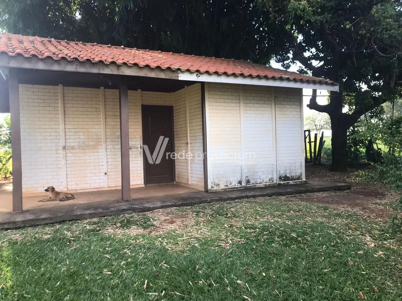 chácara - Jardim Santa Maria II - Campinas - Foto 4