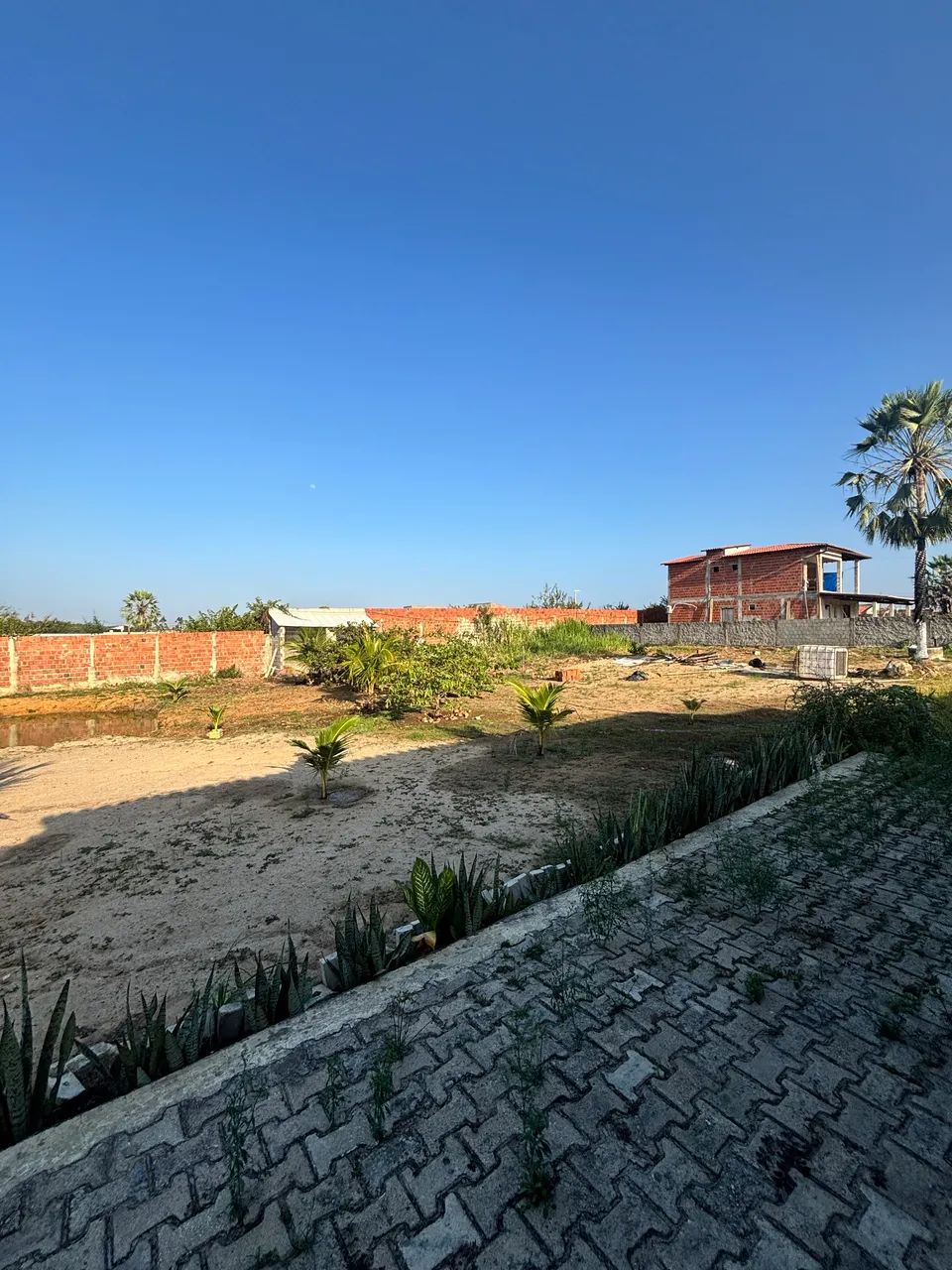 sitio a venda na pacatuba  - Foto 2