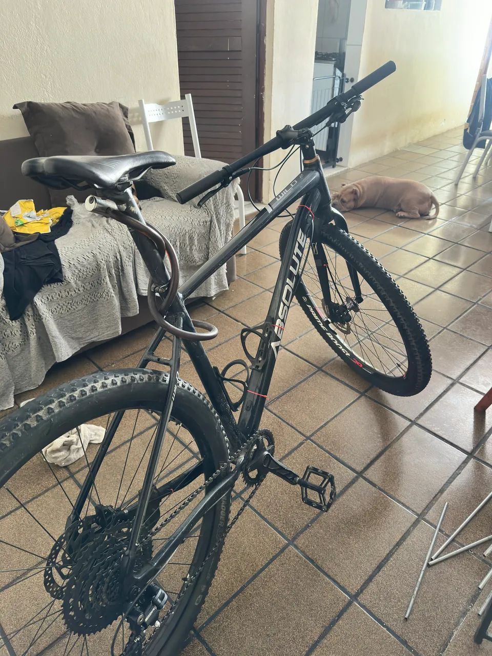 Bicicleta absolute com quadro wild 2 geometria 2025