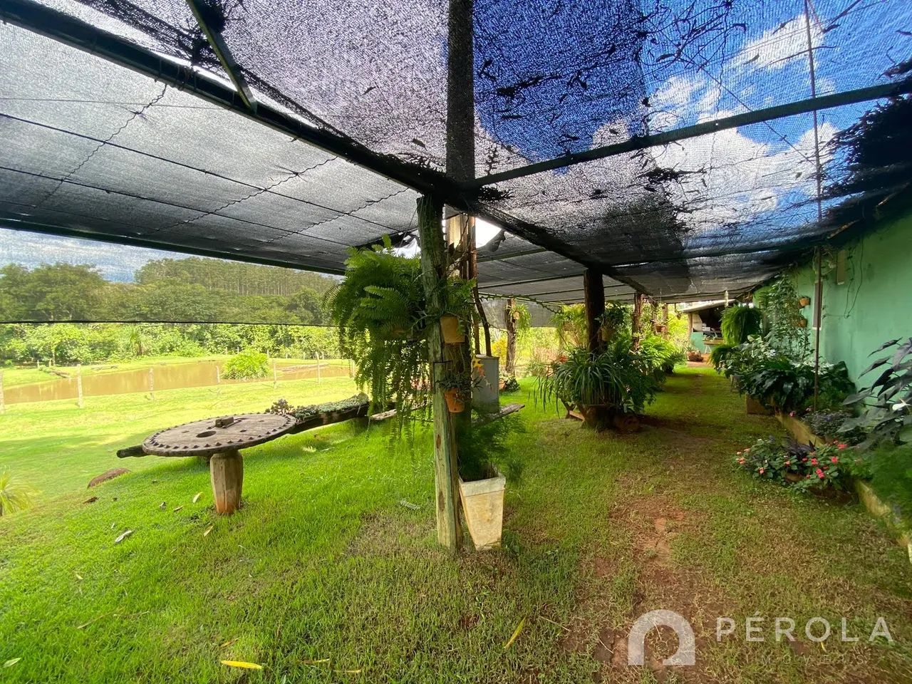 Chácara em Zona Rural - Trindade - Foto 4