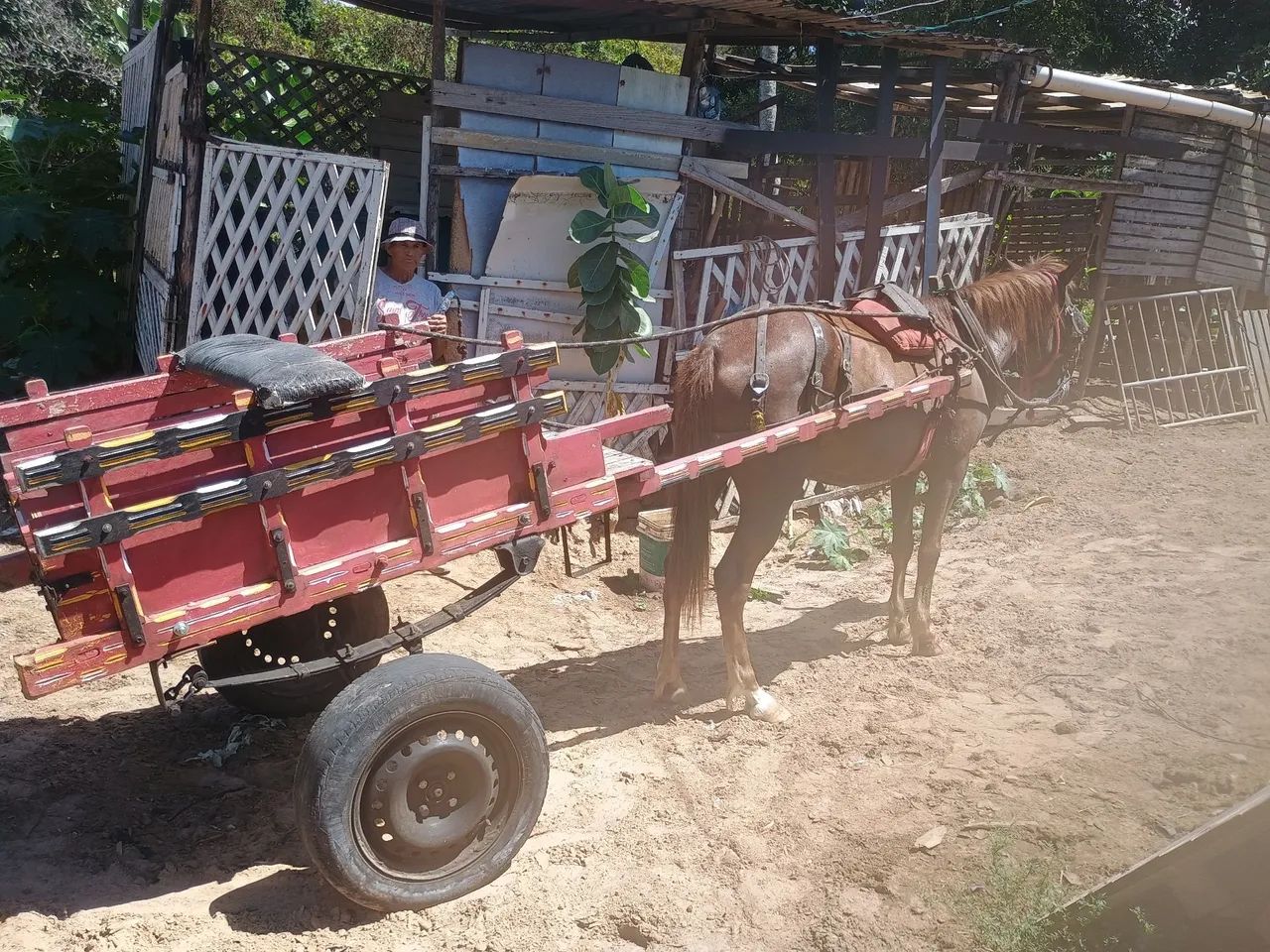 Vendo égua e carroça 