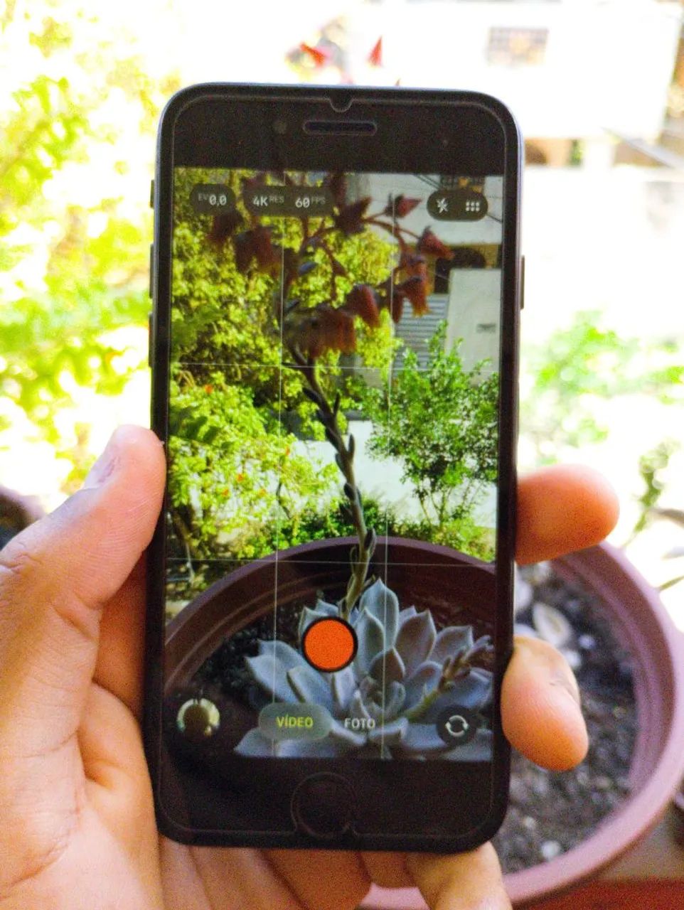 IPhone SE 2020 - Foto 3
