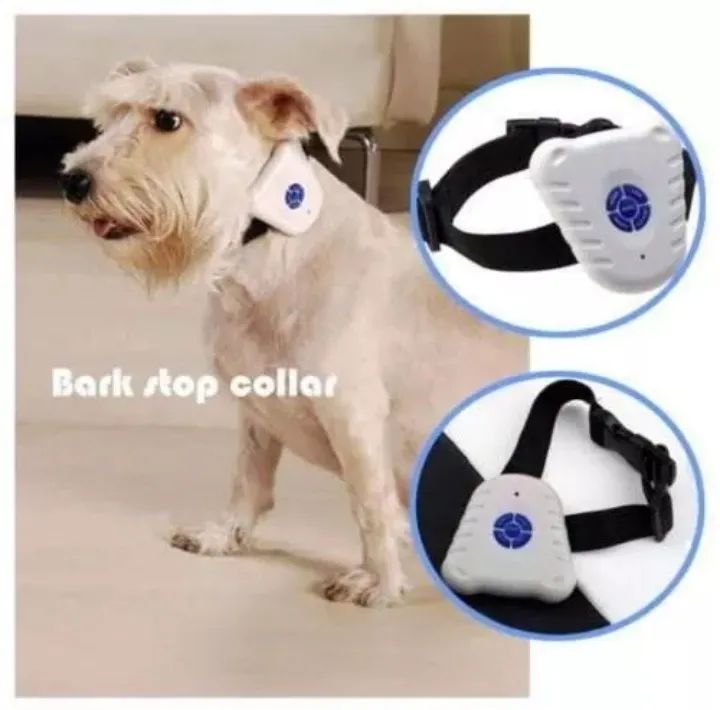 Coleira adestradora pra Pet promoção 